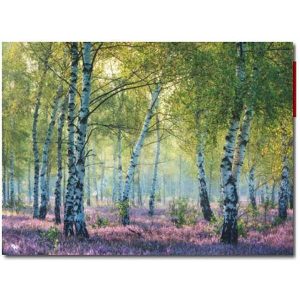 Puzzle 1000p Bosque de Abedules