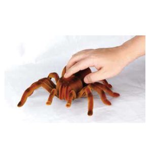 Tarántula Radio Control