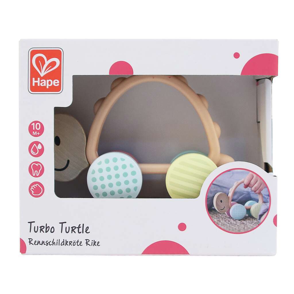 Tortuga de carreras - Imagen 4